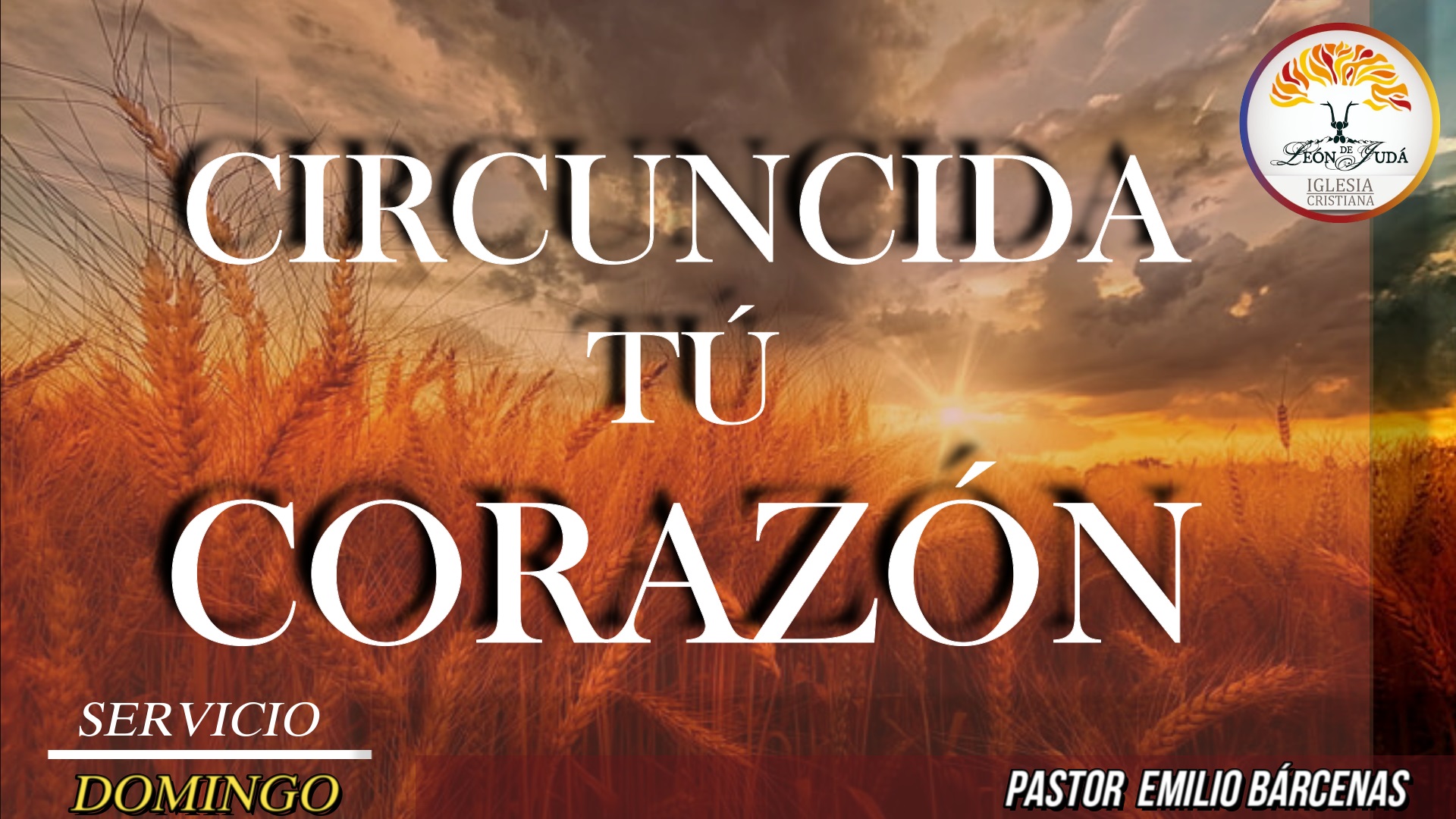 CIRCUNCIDA TÚ CORAZÓN image