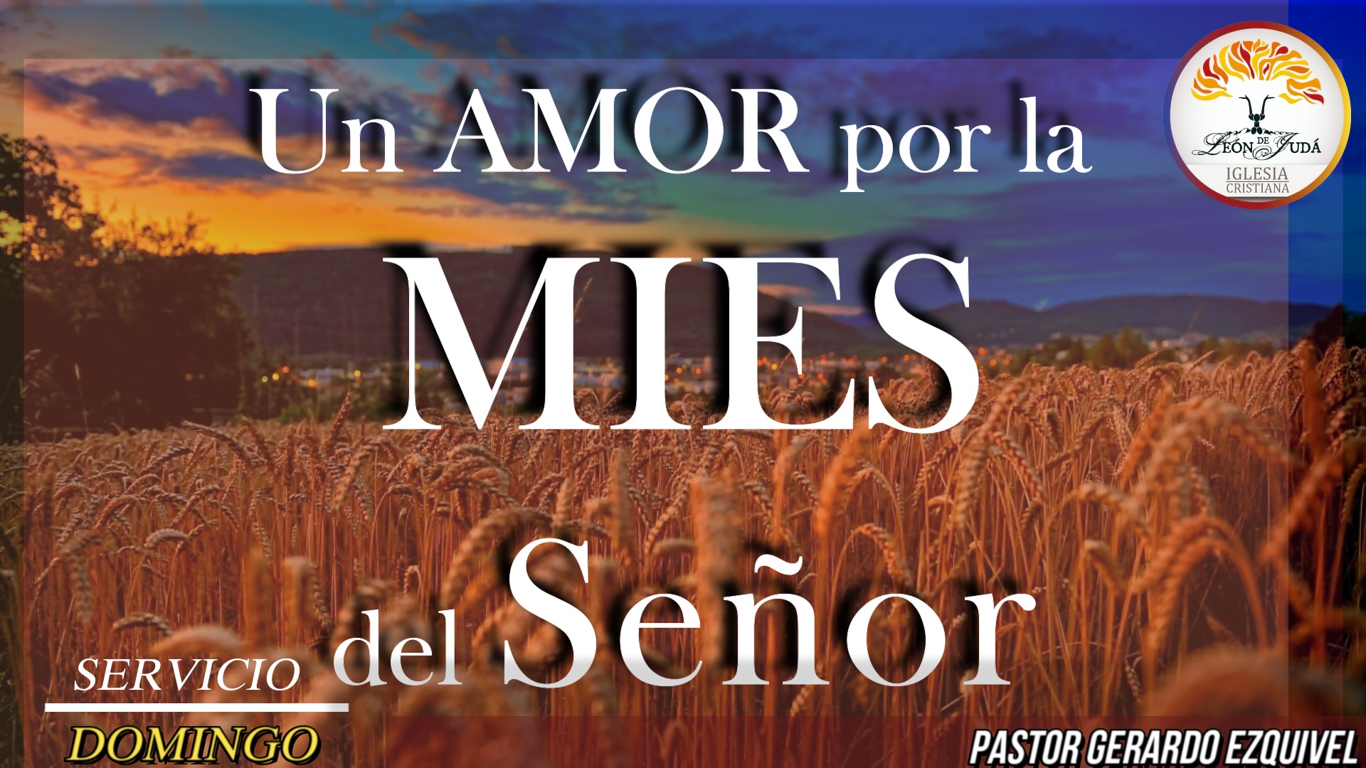 UN AMOR POR LA MIES DEL SEÑOR image